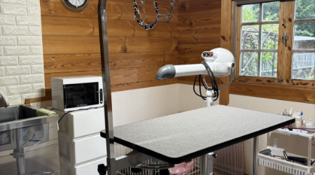 dog salonみぃのサブ写真１